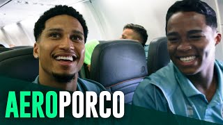 TV Palmeiras: treino de terça-feira + viagem ao Rio de Janeiro