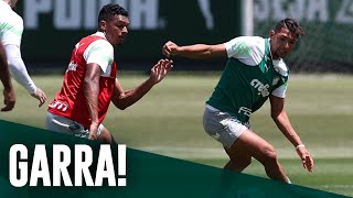 TV Palmeiras: treino de quinta-feira + papo com Endrick