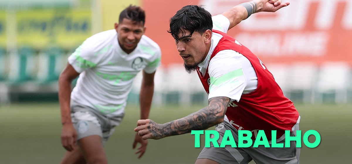 Palmeiras inicia preparação para enfrentar o Flamengo; Abel terá 3 reforços