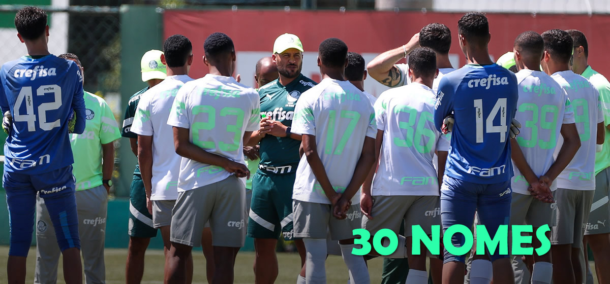 Com Estêvão, Palmeiras divulga inscritos na Copa São Paulo; veja lista