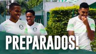 TV Palmeiras: veja como foi o treino de sábado