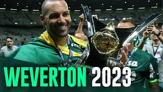 Vídeo: relembre as principais defesas de Weverton em 2023
