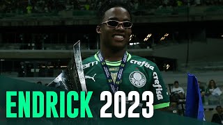 Vídeo: reveja os 14 gols de Endrick em 2023