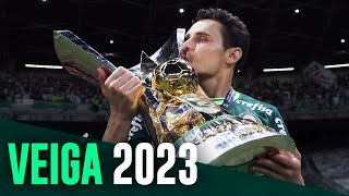 Vídeo: relembre a temporada de Raphael Veiga