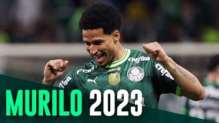 Vídeo: relembre a temporada de Murilo