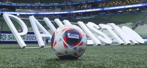 Veja números do Palmeiras na campanha do tricampeonato paulista