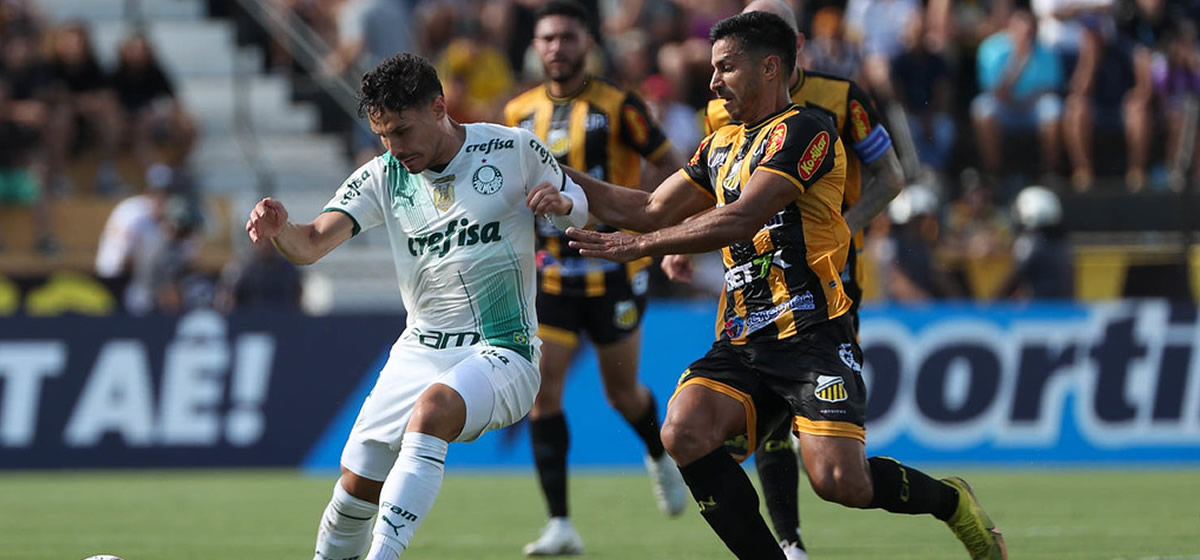 Definido: Palmeiras enfrentará o Novorizontino na semifinal do Paulista
