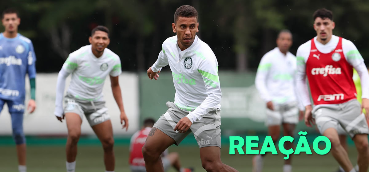 Marcos Rocha cita dificuldades do Paulista e espera Palmeiras mais forte contra a Inter de Limeira