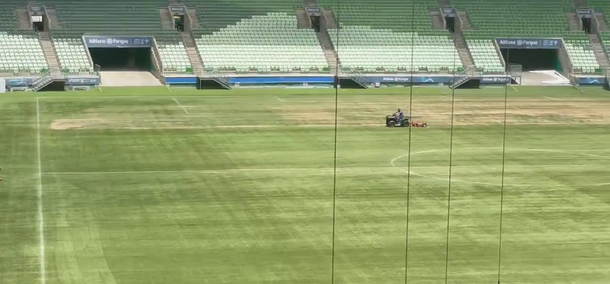 Vídeo: gramado do Allianz Parque segue em manutenção