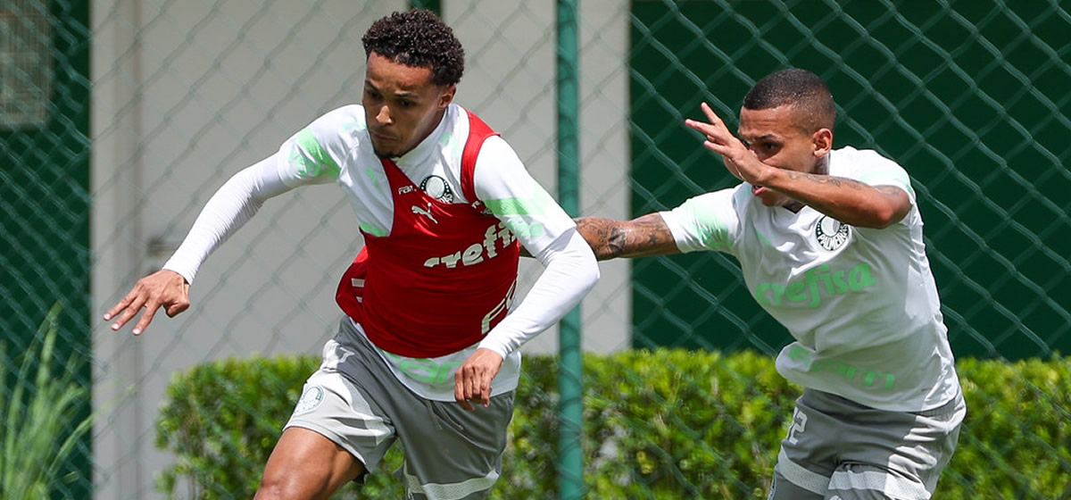 Classificado no Paulista, Palmeiras pode rodar o elenco contra a Portuguesa