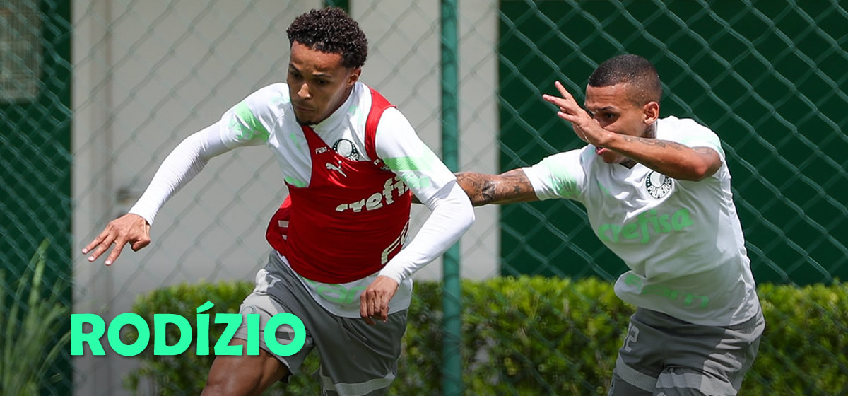 Classificado no Paulista, Palmeiras pode rodar o elenco contra a Portuguesa