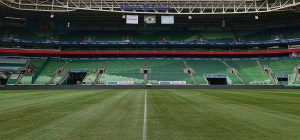 Palmeiras x Botafogo-SP: comente o jogo aqui