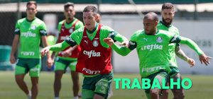 Palmeiras faz treino tático para enfrentar a Ponte; veja possível escalação