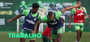 Palmeiras faz treino tático mirando “mata” contra a Ponte Preta; Abel terá três reforços
