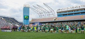 Palmeiras enfrentará a Ponte Preta nas quartas de final do Paulista; FPF ainda definirá tabela