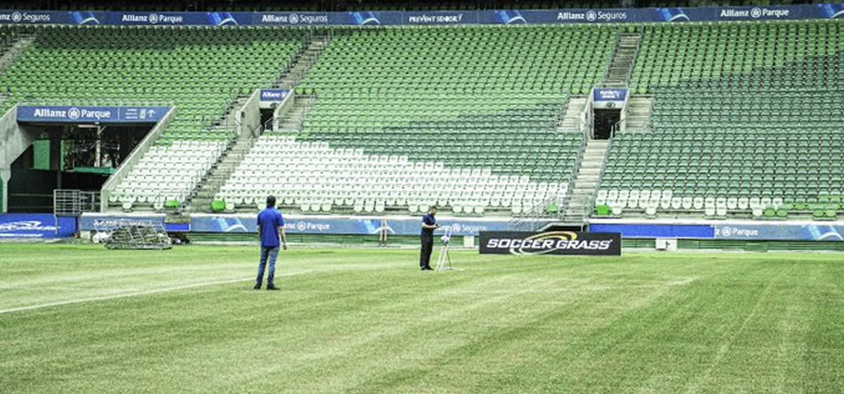 Gramado do Allianz Parque é aprovado em vistoria da Fifa