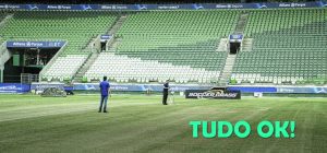 Gramado do Allianz Parque é aprovado em vistoria da Fifa