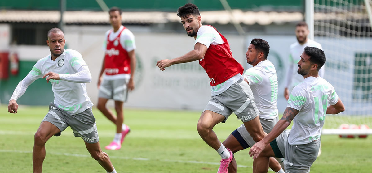 Palmeiras enfrenta o Botafogo para acumular pontos na liderança geral do Paulista