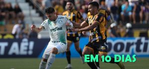 Definido: Palmeiras enfrentará o Novorizontino na semifinal do Paulista