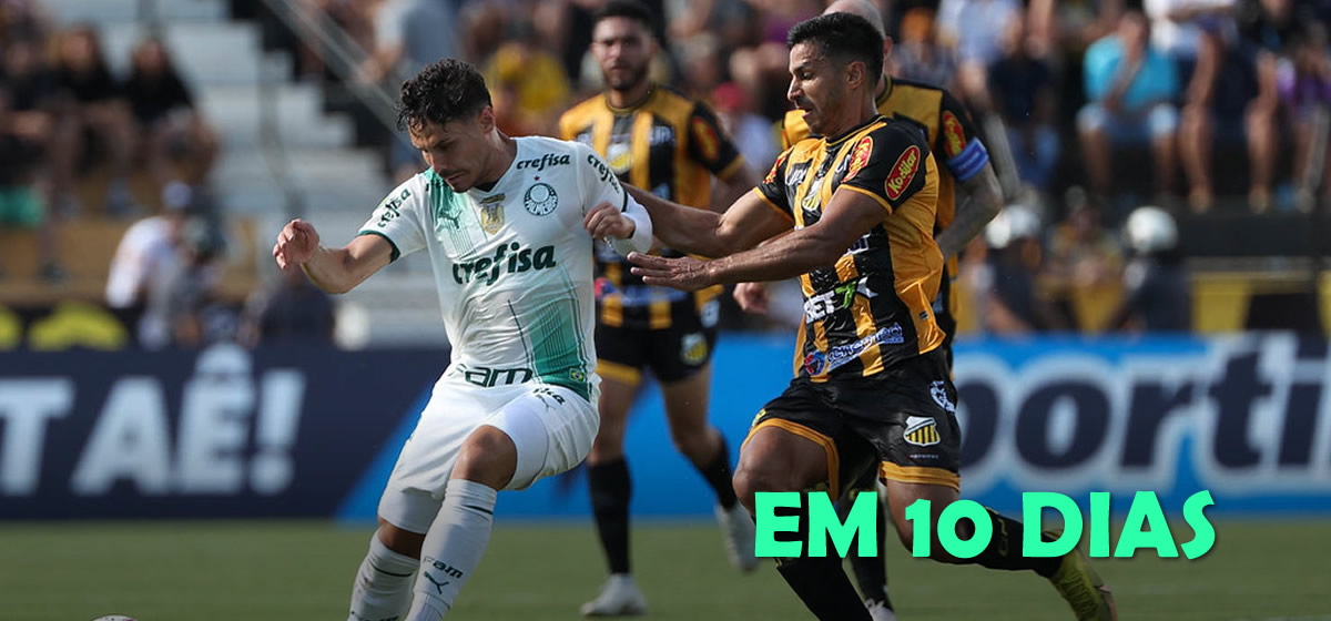 Definido: Palmeiras enfrentará o Novorizontino na semifinal do Paulista