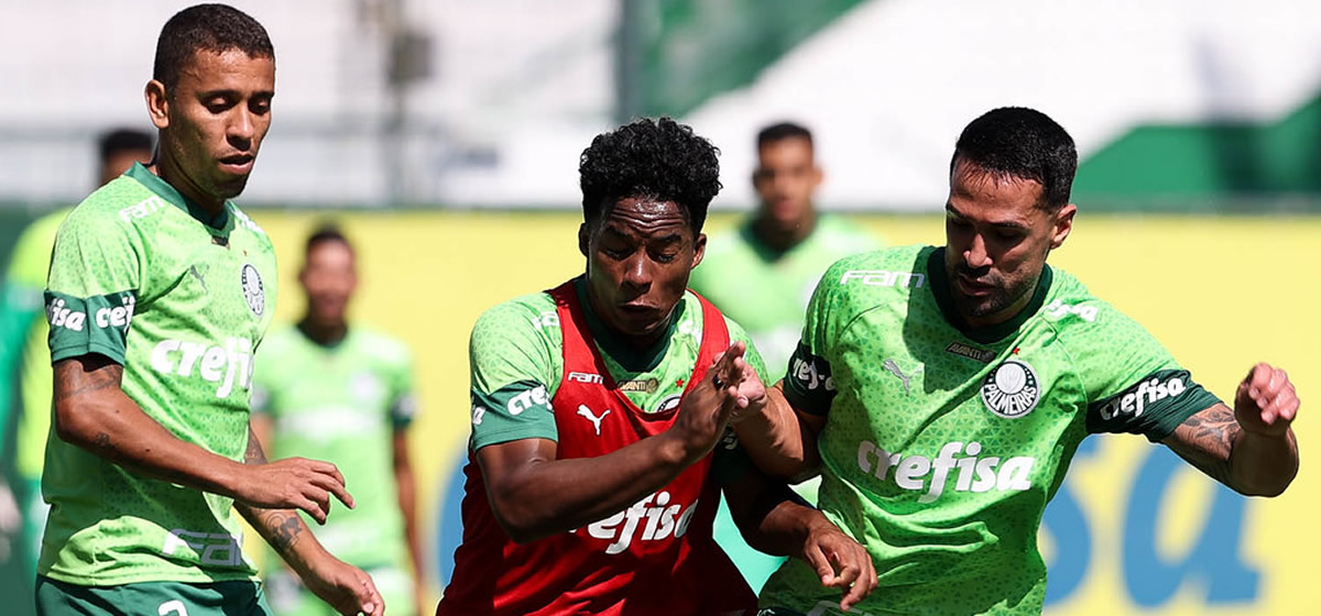 Palmeiras enfrenta o Flamengo em busca de reação no Brasileirão