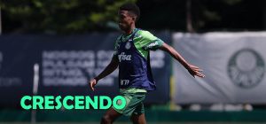 Estêvão completa 17 anos e comemora evolução no Palmeiras: “Sensação incrível”