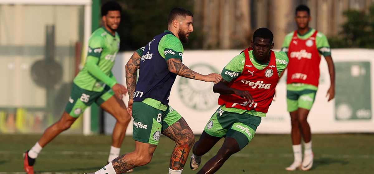 Palmeiras inicia preparação para enfrentar o São Paulo; Zé Rafael treina com bola