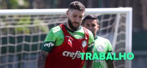 Palmeiras inicia preparação para jogo da Copa do Brasil; Abel pode ter reforço