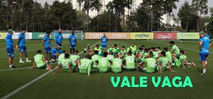 Palmeiras enfrenta o Botafogo-SP podendo empatar para avançar na Copa do Brasil
