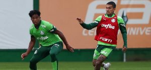 Palmeiras volta a treinar mirando jogo contra o San Lorenzo pela Libertadores