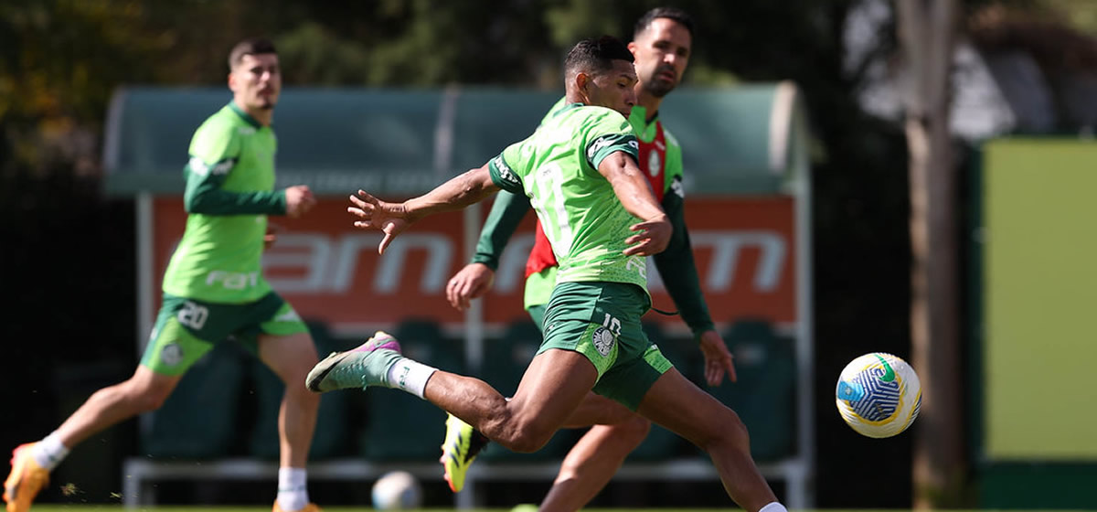 Palmeiras inicia preparação para enfrentar o Criciúma; time terá desfalques