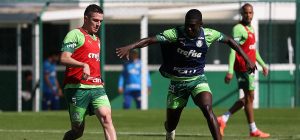 Palmeiras faz primeiro treino para enfrentar o Fortaleza; Rômulo inicia transição física