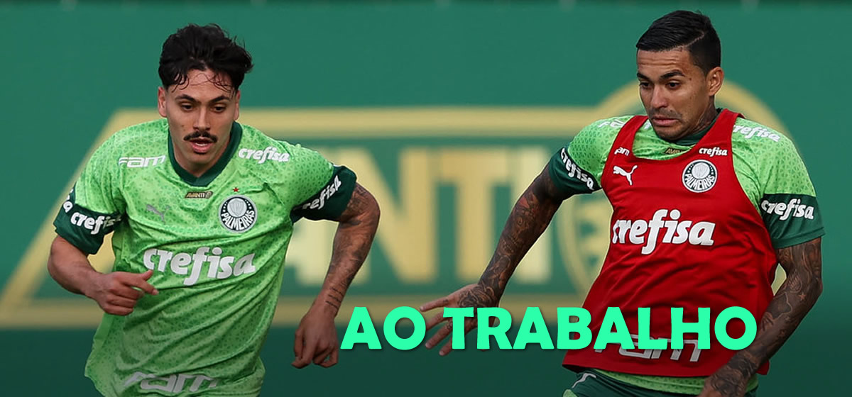 Palmeiras Inicia Preparação Para Enfrentar O Botafogo Abel Pode Ter