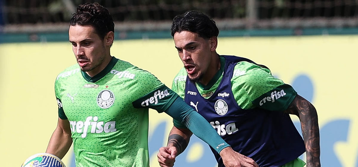 Palmeiras enfrenta o Botafogo valendo a liderança do Brasileirão