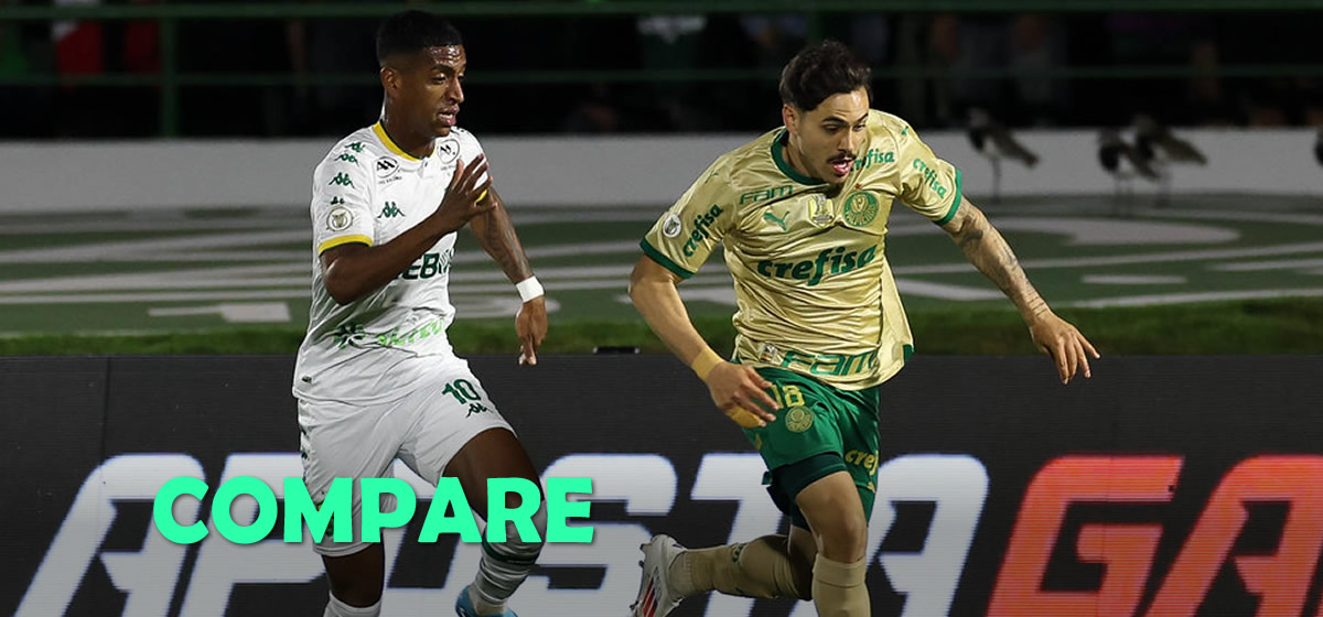 Qual era a pontuação do Palmeiras após 24 rodadas nos últimos Brasileiros?