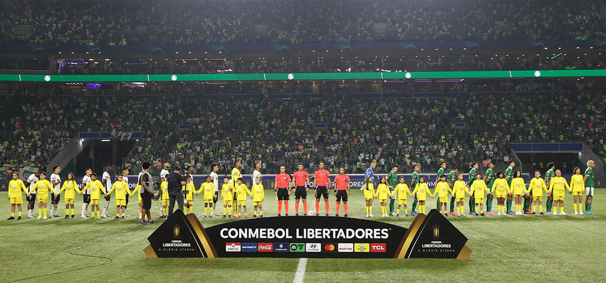 Ficha técnica de Palmeiras 2 x 2 Botafogo