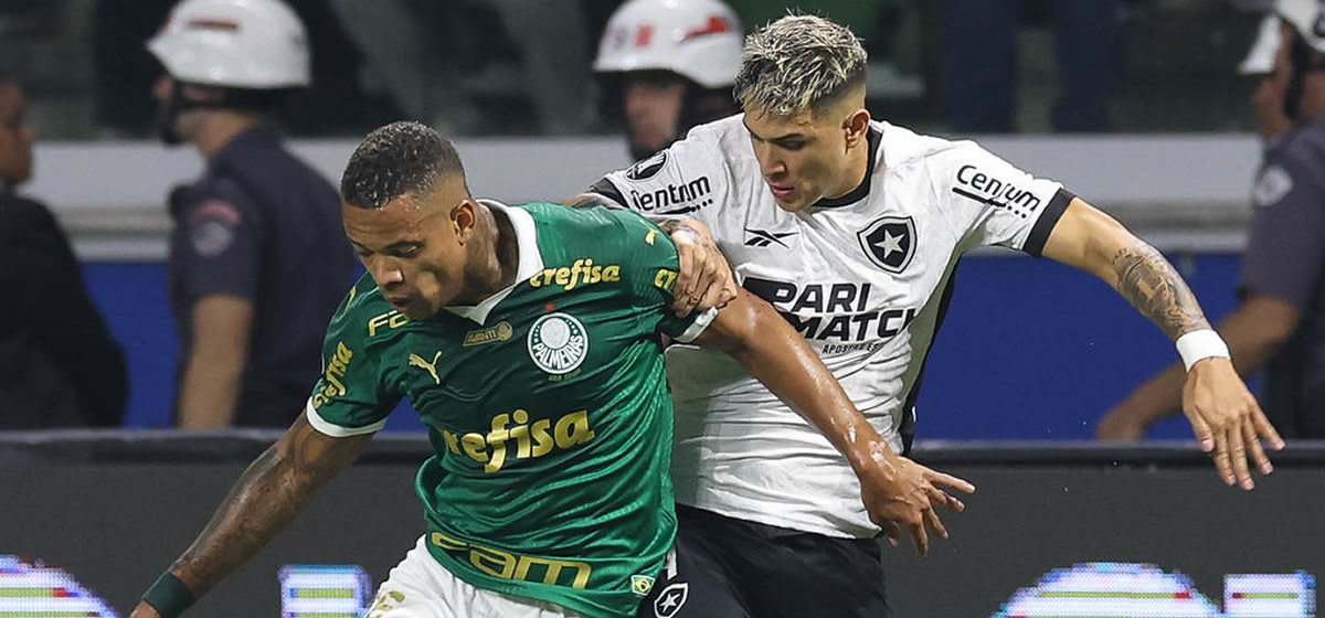 Palmeiras empata com o Botafogo em casa e se despede da Libertadores