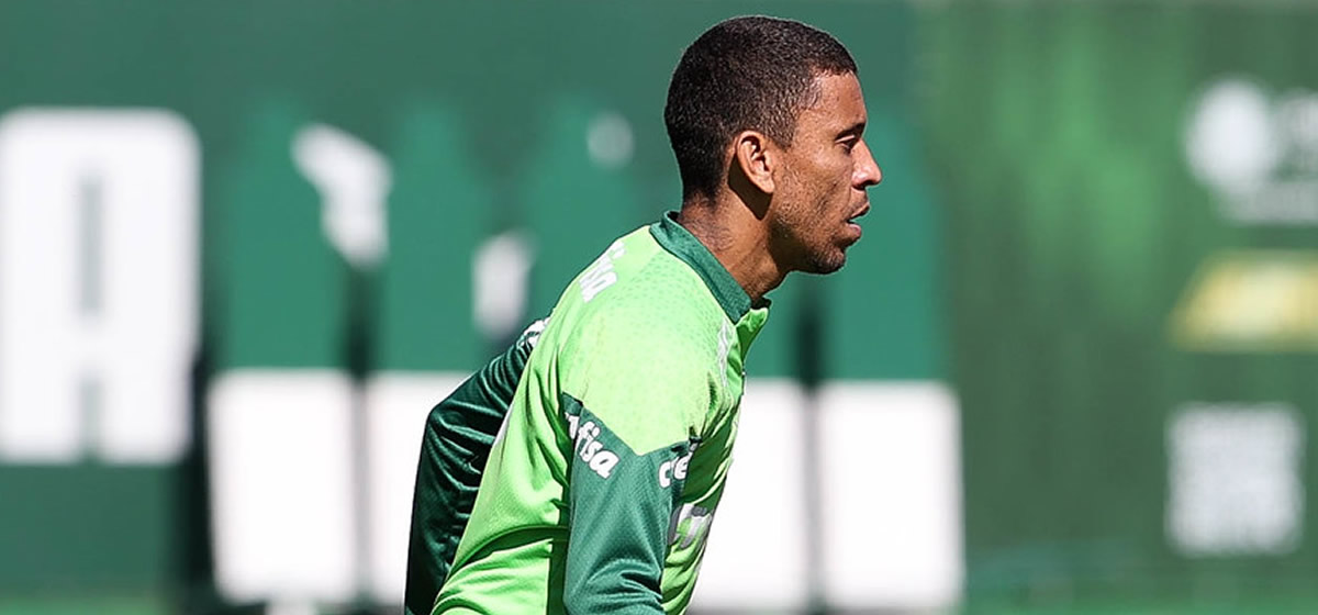 Marcos Rocha comemora renovação com o Palmeiras: "Prazer de vestir essa camisa"