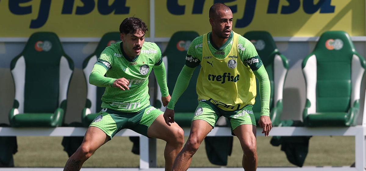 Palmeiras inicia preparação para enfrentar o Botafogo; Mayke é novidade