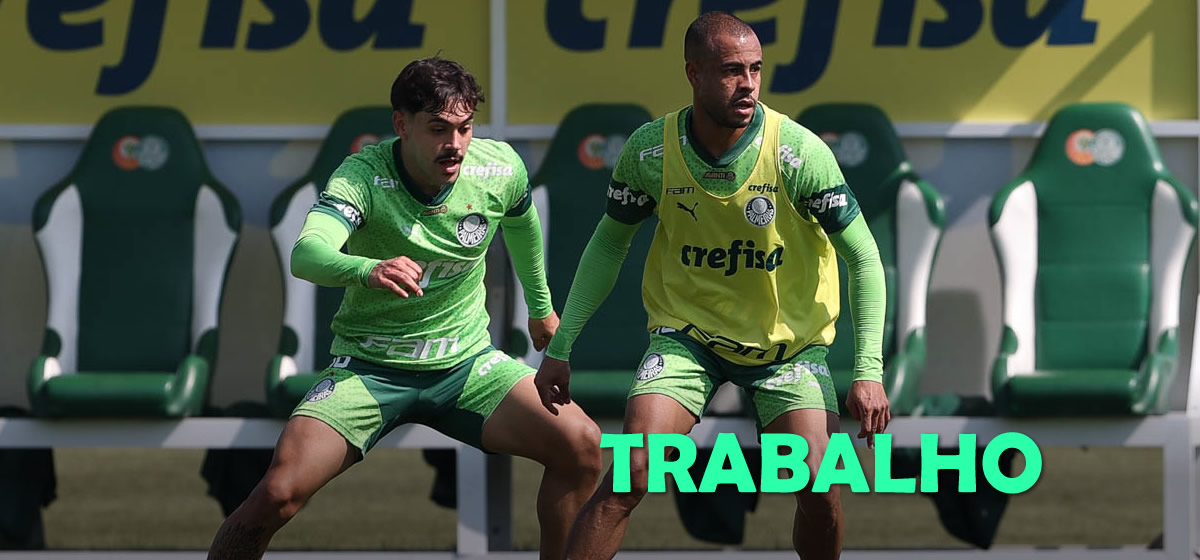 Palmeiras inicia preparação para enfrentar o Botafogo; Mayke é novidade
