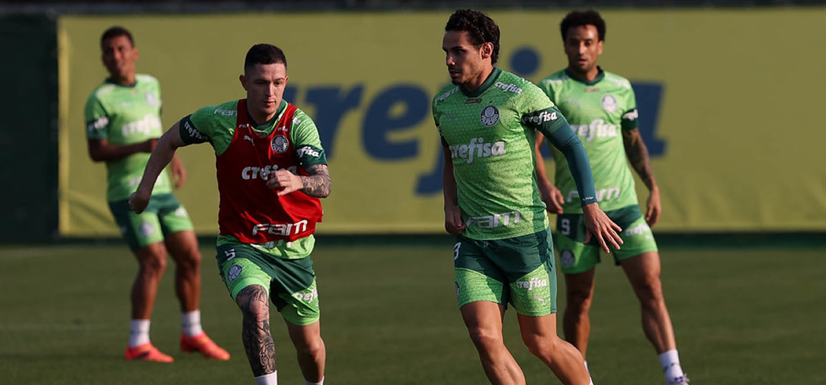 Palmeiras recebe o Botafogo precisando de dois gols para avançar na Libertadores