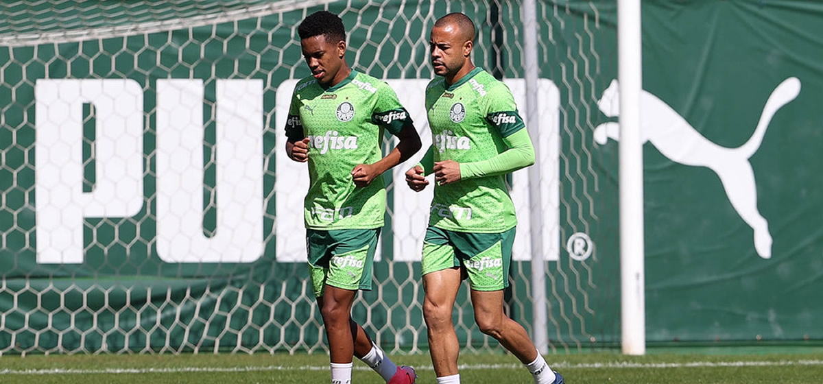 Palmeiras pode ter até 4 reforços para enfrentar o Red Bull Bragantino