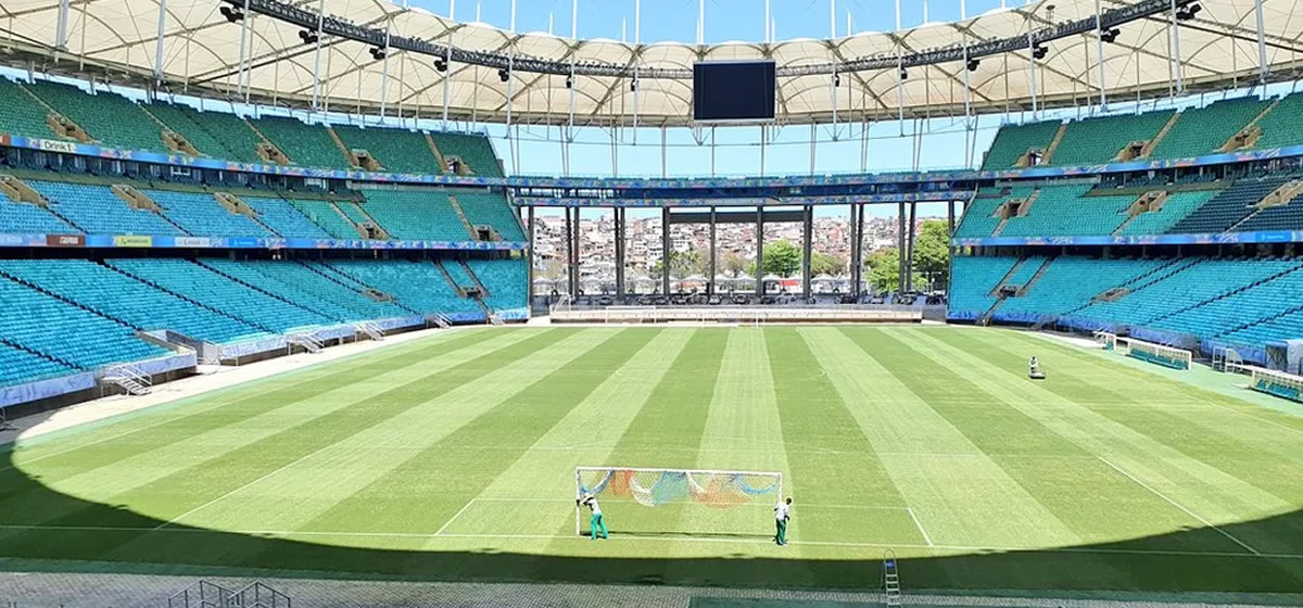 Bahia x Palmeiras: comente o jogo aqui