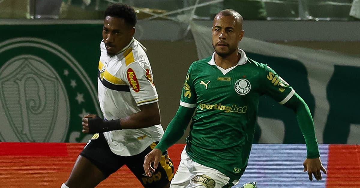 Notas de Palmeiras 1 x 2 Novorizontino