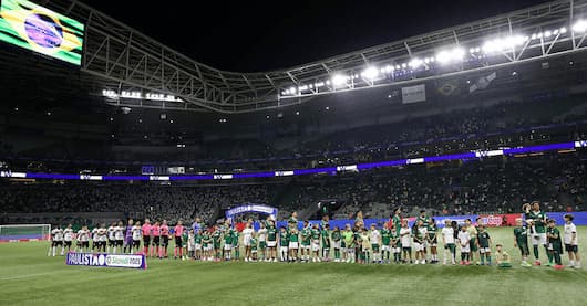 Ficha técnica de Palmeiras 3 x 1 Botafogo