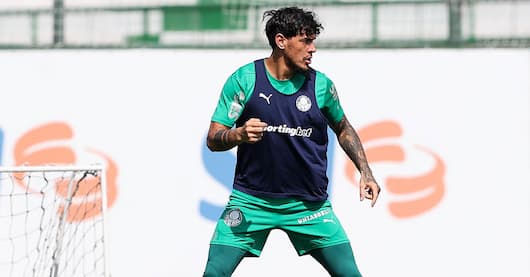 Gómez comenta boa fase do Palmeiras e destaca estrangeiros: “Estão nos ajudando muito”