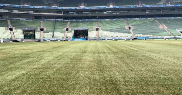 Gramado do Allianz Parque será trocado por versão mais moderna