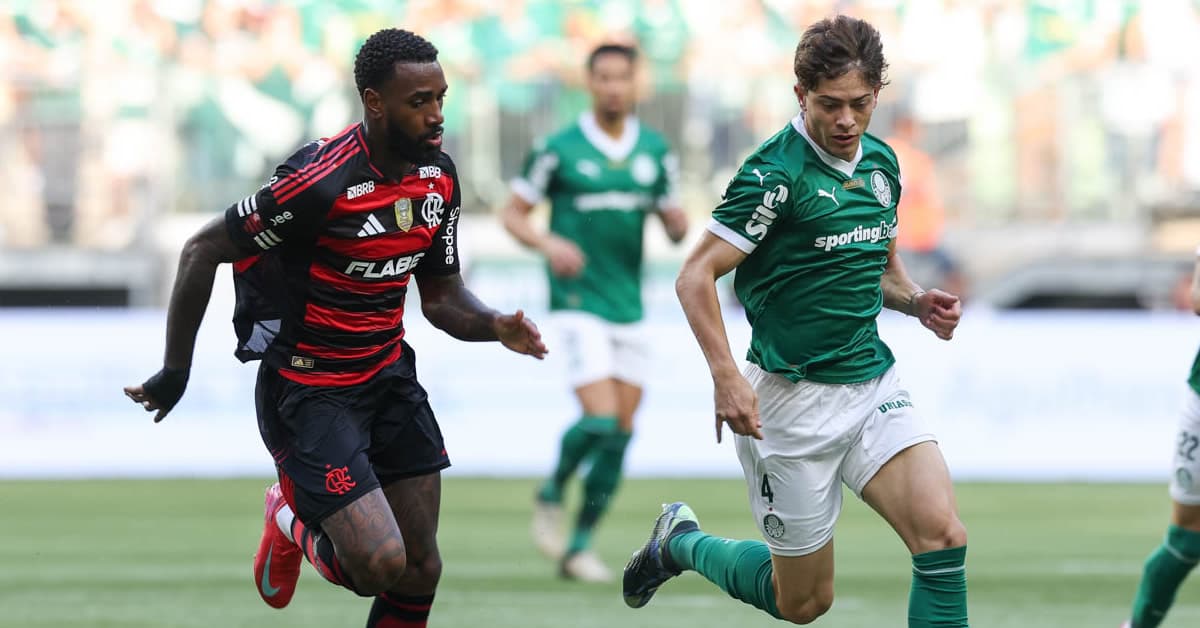 Vídeo: melhores momentos de Palmeiras 0 x 2 VARmengo