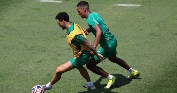 Em nova “base”, Palmeiras inicia preparação para enfrentar o Chelsea pelas quartas do Mundial