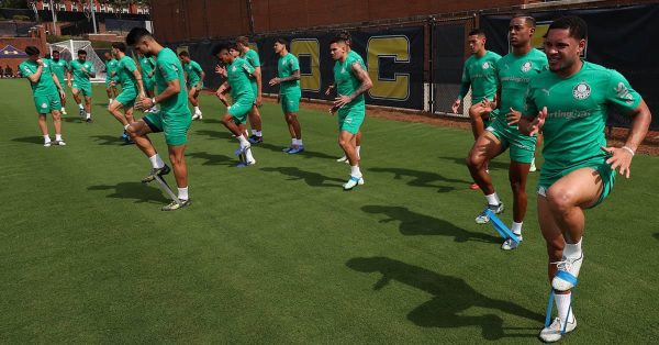 Recheado, setor ofensivo do Palmeiras chega ao Mundial sem convencer; veja opções de Abel